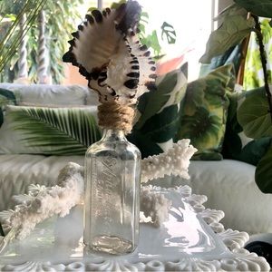 New! Black Murex Seashell + Antique Pharmaceutical Bottle